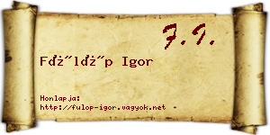 Fülöp Igor névjegykártya