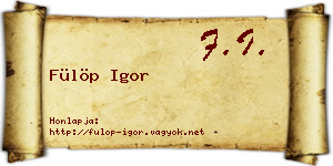 Fülöp Igor névjegykártya